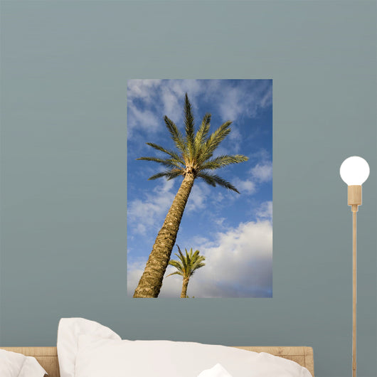 Palm Wall Decal Design 2