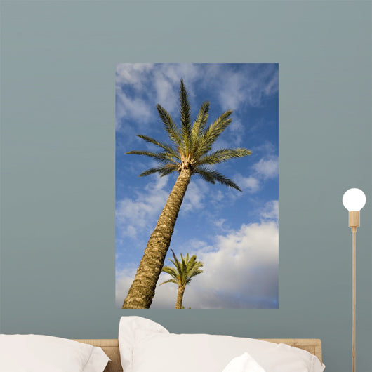 Palm Wall Decal Design 2