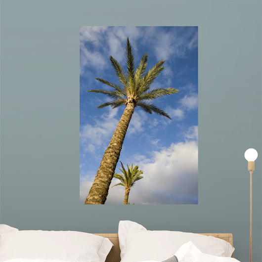 Palm Wall Decal Design 2