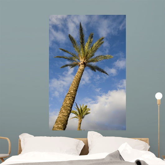 Palm Wall Decal Design 2