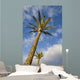 Palm Wall Decal Design 2
