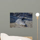 Big Crocodile Named 'Brutus Wall Decal
