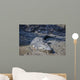 Big Crocodile Named 'Brutus Wall Decal