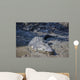 Big Crocodile Named 'Brutus Wall Decal