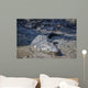 Big Crocodile Named 'Brutus Wall Decal