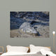 Big Crocodile Named 'Brutus Wall Decal