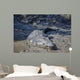 Big Crocodile Named 'Brutus Wall Decal