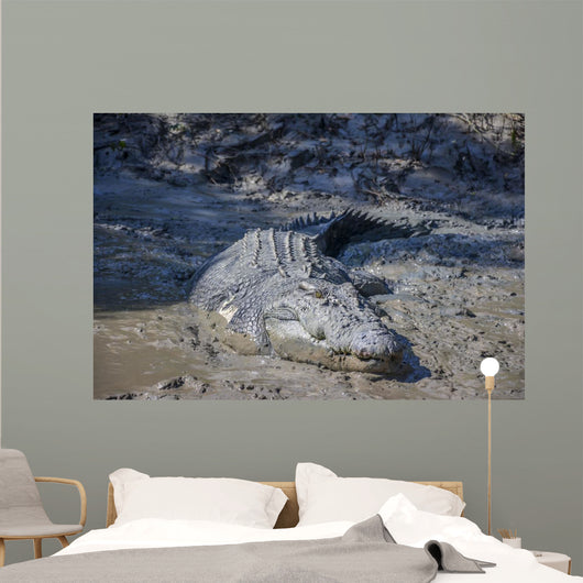 Big Crocodile Named 'Brutus Wall Decal
