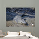Big Crocodile Named 'Brutus Wall Decal