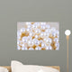 Pearl Necklace Wall Decal Design 2