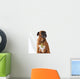 Gangsta Rapper Boxer Dog Wall Decal