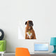 Gangsta Rapper Boxer Dog Wall Decal