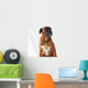 Gangsta Rapper Boxer Dog Wall Decal