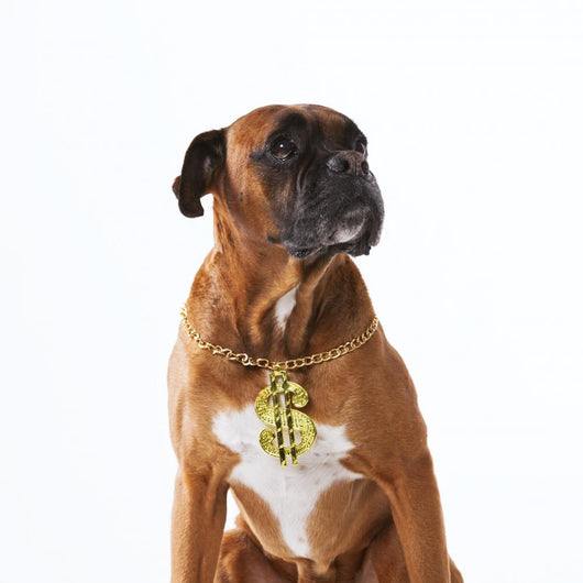 Gangsta Rapper Boxer Dog Wall Decal