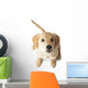 Golden Retriever Puppy Looking-up Wall Decal
