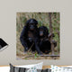 Siblings Wall Decal