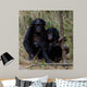Siblings Wall Decal
