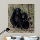 Siblings Wall Decal