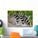 Three Lemurs Wall Decal