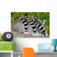 Three Lemurs Wall Decal