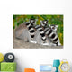 Three Lemurs Wall Decal
