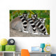 Three Lemurs Wall Decal