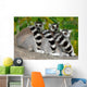 Three Lemurs Wall Decal