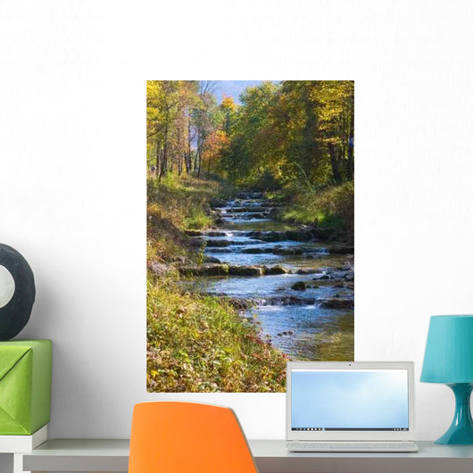 Bach through Forest Wall Decal