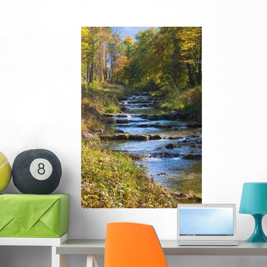 Bach through Forest Wall Decal