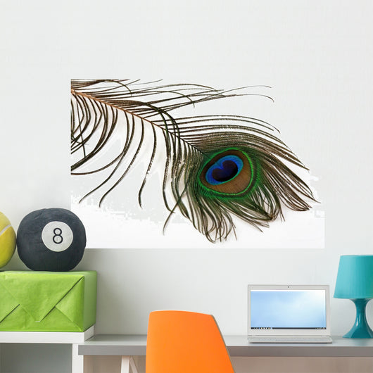 Pfauenfeder Wall Decal