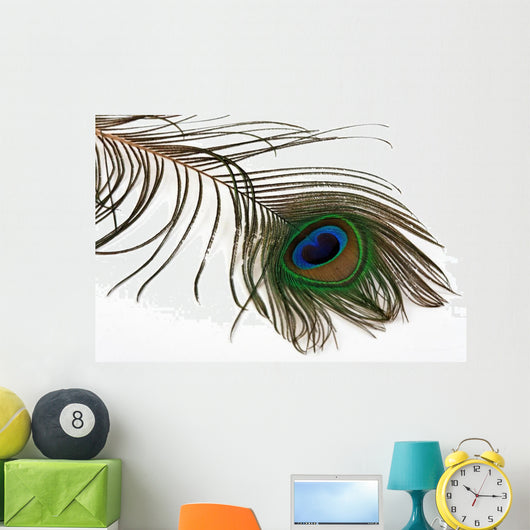 Pfauenfeder Wall Decal
