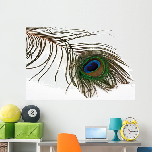 Pfauenfeder Wall Decal