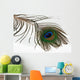 Pfauenfeder Wall Decal