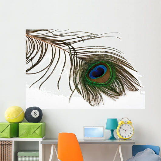 Pfauenfeder Wall Decal