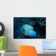 Napoleonfisch Wall Decal