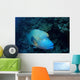 Napoleonfisch Wall Decal