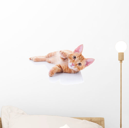 Happy Playing Pet Cat Wall Decal