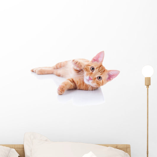 Happy Playing Pet Cat Wall Decal