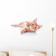 Happy Playing Pet Cat Wall Decal