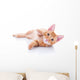 Happy Playing Pet Cat Wall Decal