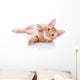 Happy Playing Pet Cat Wall Decal