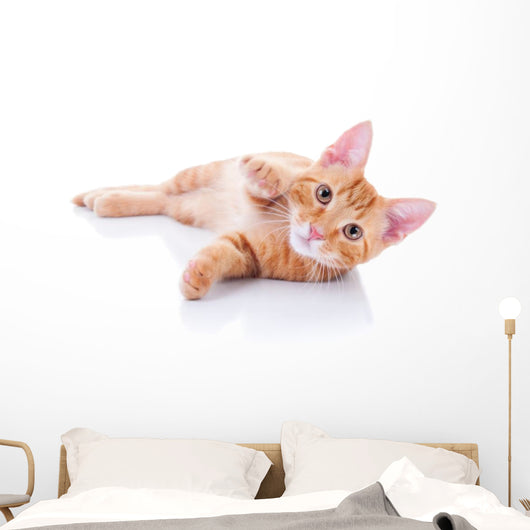 Happy Playing Pet Cat Wall Decal