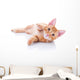 Happy Playing Pet Cat Wall Decal