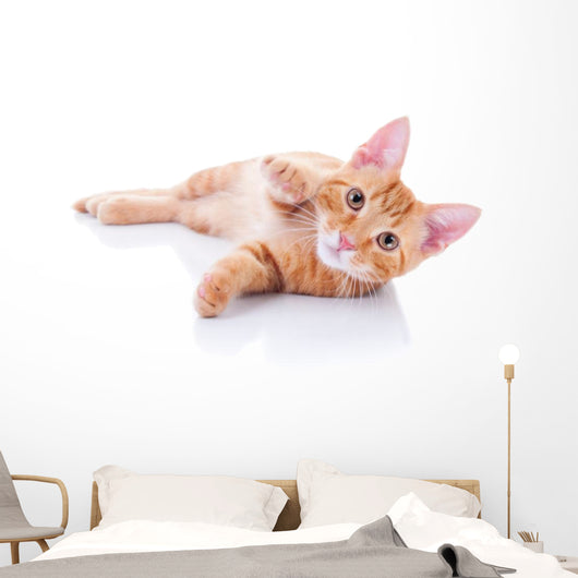 Happy Playing Pet Cat Wall Decal