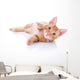 Happy Playing Pet Cat Wall Decal
