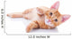 Happy Playing Pet Cat Wall Decal