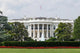 White House Washington DC Wall Decal