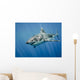 Great White Shark and Wall Decal