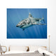 Great White Shark and Wall Decal