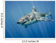 Great White Shark and Wall Decal